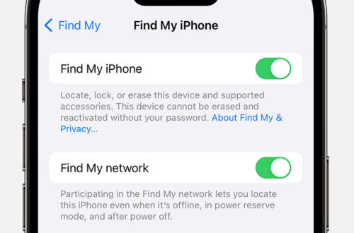 Find My in iPhone Settings